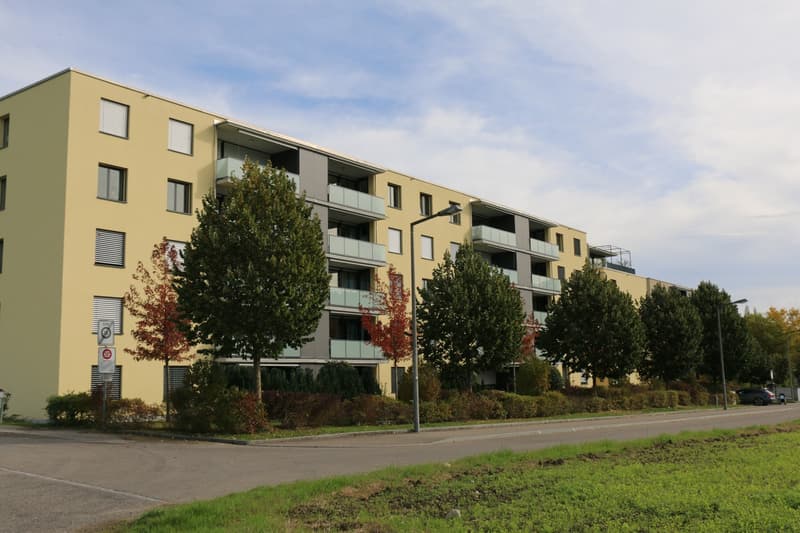 Attraktive 3.5-Zimmer-Wohnung in angenehmer Wohnlage (1)