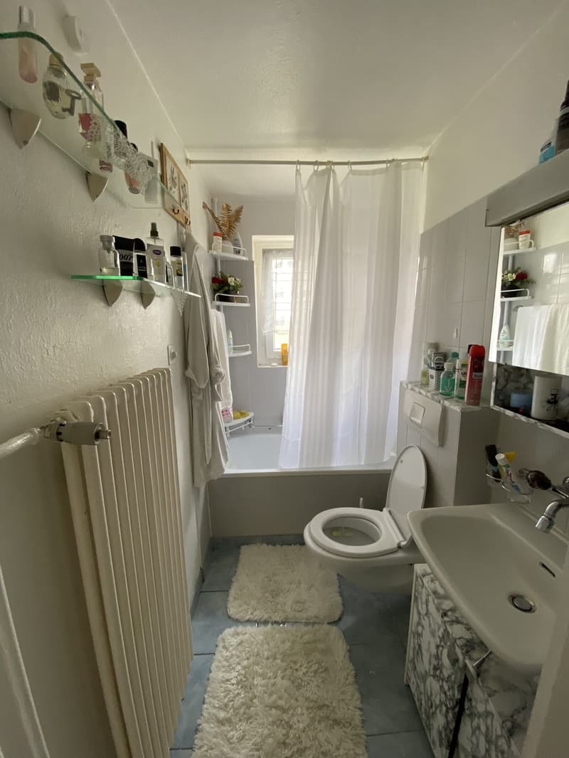 4-Zimmer-Wohnung im Oberi-Quartier (9)