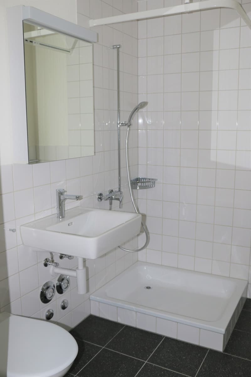 3.5-Zimmer-Wohnung - Wallrütistrasse 119a, 8404 Winterthur (9)