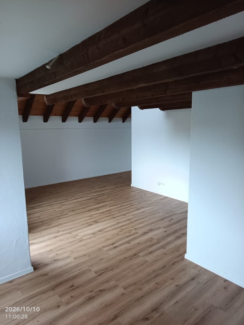 2 ½ Zimmer-Wohnung, 9015 St. Gallen (8)