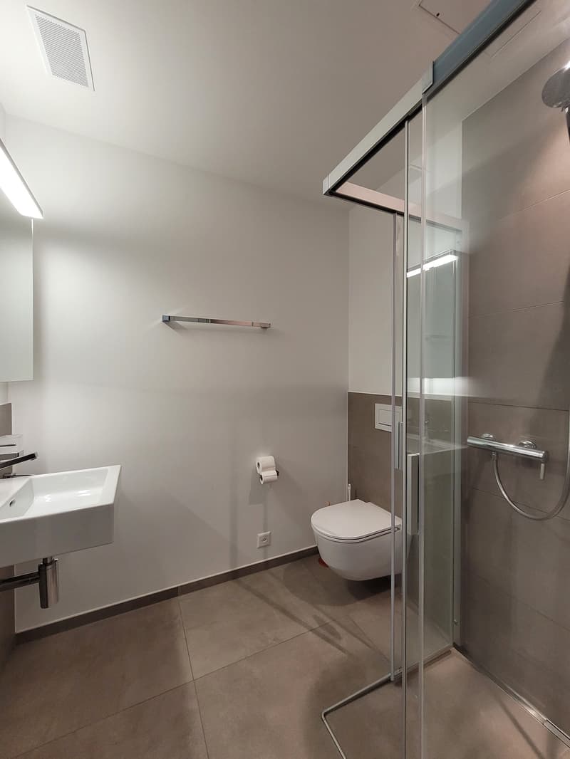 Appartement 4,5 pièces moderne (avec WM, TU + salle de loisirs) sur Nespelmattweg (6)