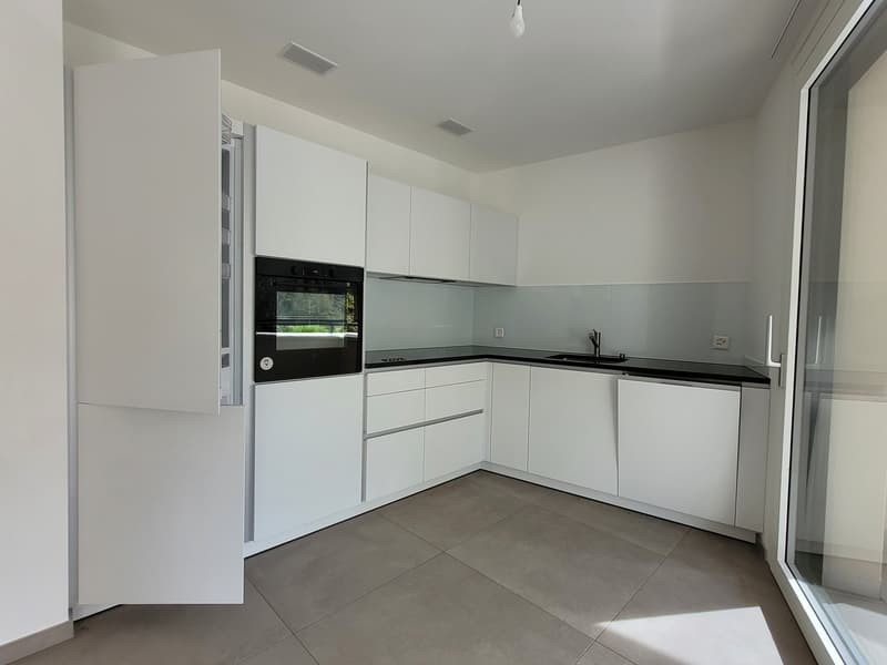 white cabinets, black countertops, integrated appliances, large sink, glass door leading to another room