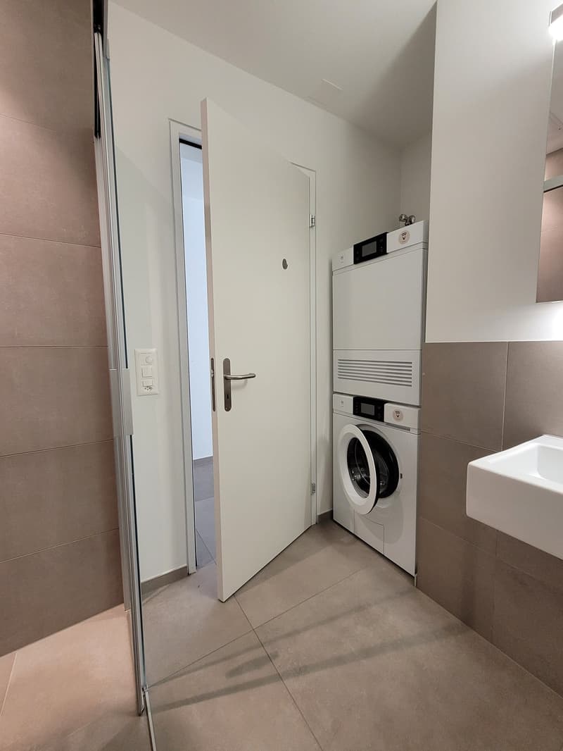 modern tiled, white washing machine, white sink, door