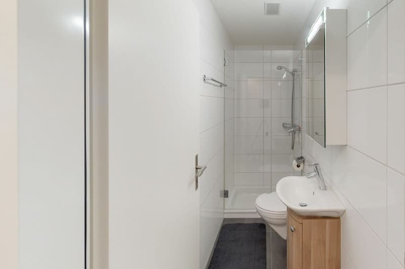 Modernes 5.5-Zimmer-Einfamilienhaus mit Minergie-Standard in Arisdorf (16)