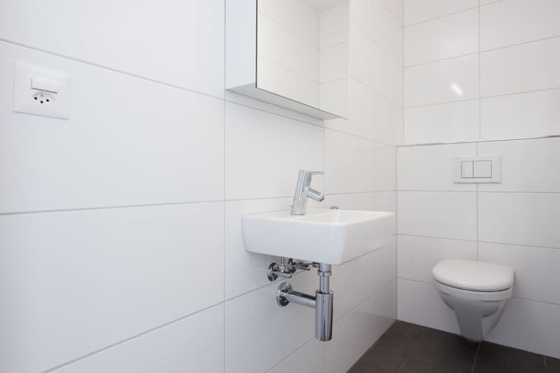 Modernes 5.5-Zimmer-Einfamilienhaus mit Minergie-Standard in Arisdorf (9)