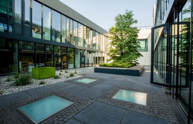 modern building with glass walls, courtyard with plants, paved floor, glass squares