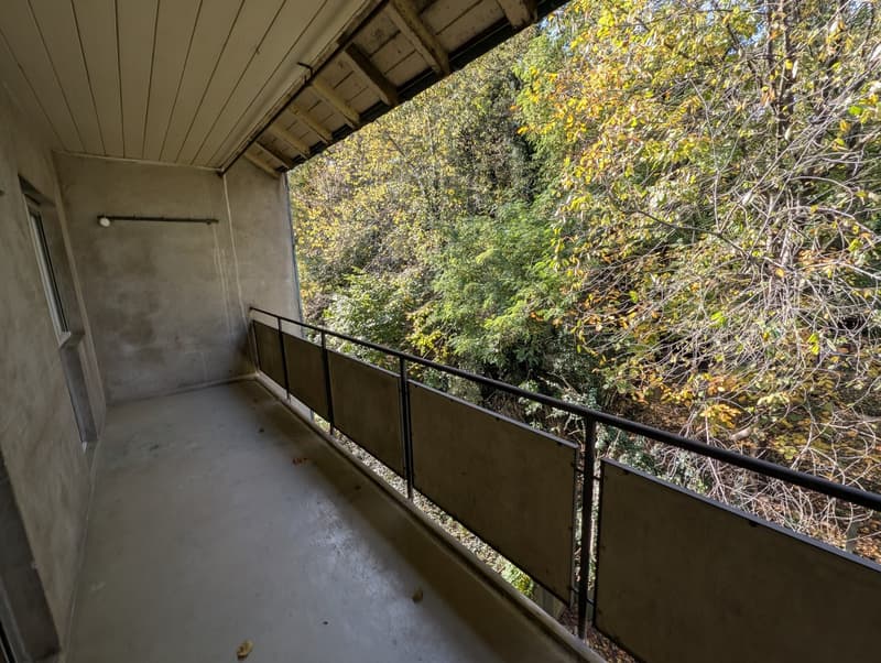 Balcony with metal railings, concrete floor, view of trees