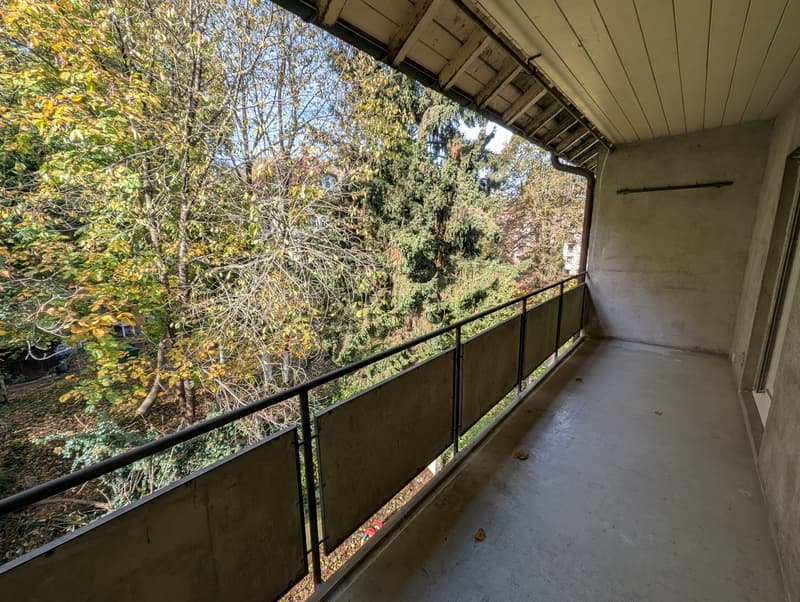 empty balcony with metal railings, concrete floor, view of trees