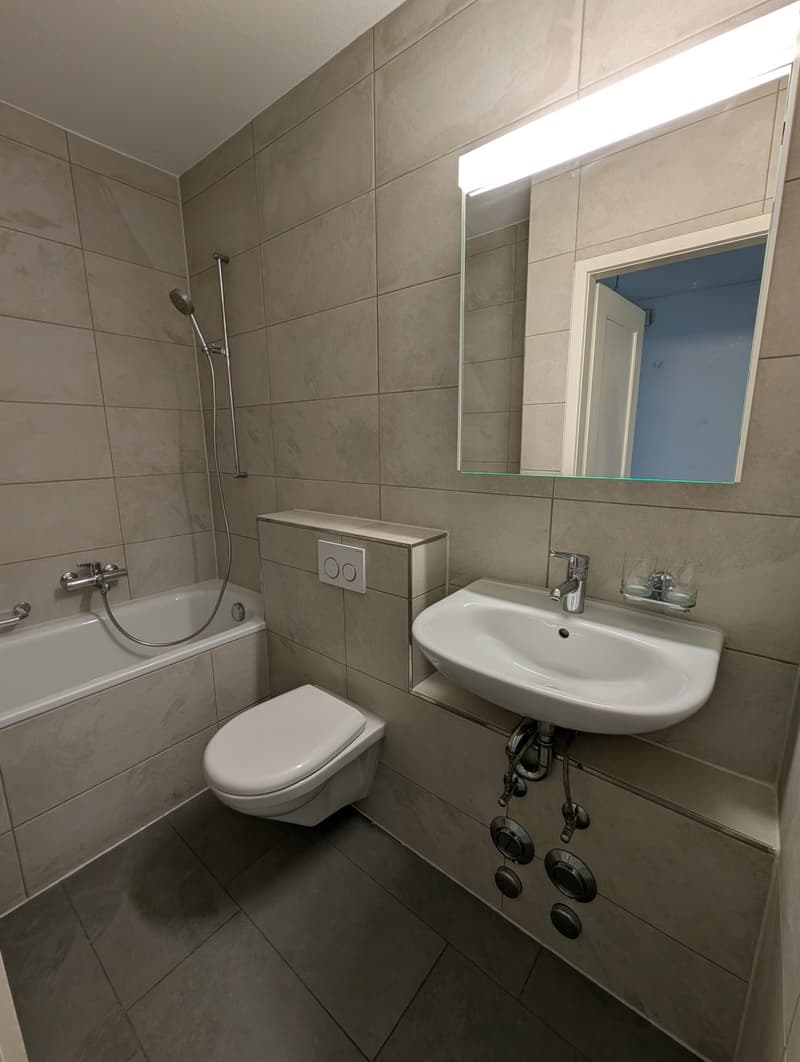 Bathroom with bathtub, toilet, sink, mirror, and shower head