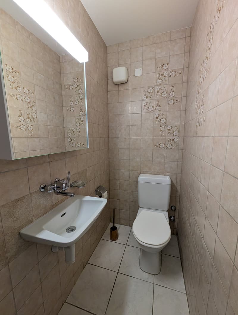 Grosszügige 4.5-Zimmerwohnung (105 m2) im alten Dorfkern von Münchenstein (10)