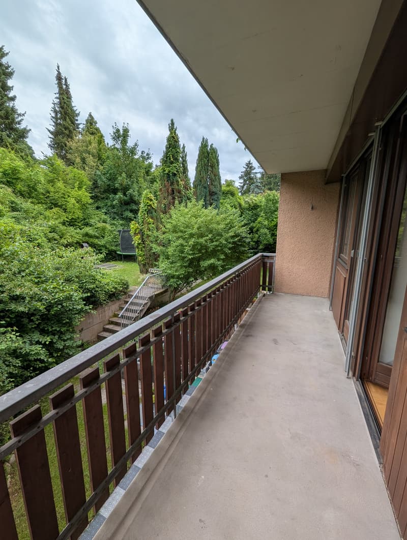 Grosszügige 4.5-Zimmerwohnung (105 m2) im alten Dorfkern von Münchenstein (5)