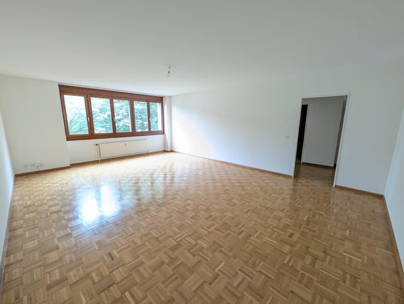 Grosszügige 4.5-Zimmerwohnung (105 m2) im alten Dorfkern von Münchenstein (1)