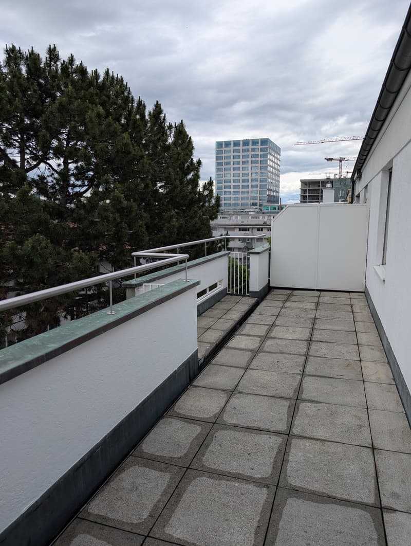 Exklusive 4.5-Zimmer-Attikawohnung mit 2 Terrassen im St. Johann (17)