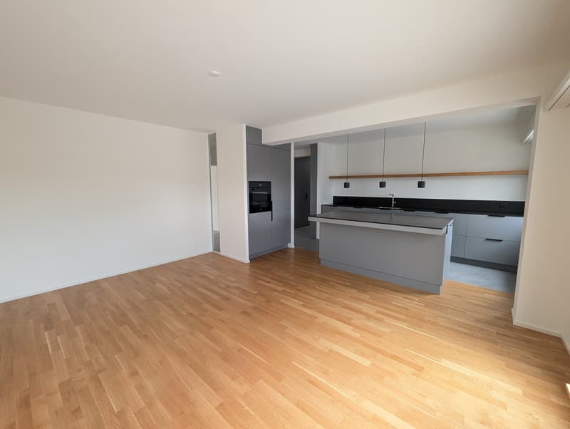 Exklusive 4.5-Zimmer-Attikawohnung mit 2 Terrassen im St. Johann (3)