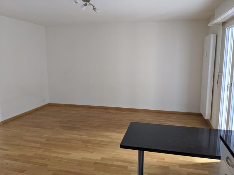 Moderne 1-Zimmerwohnung nähe Kannefeldpark (3)