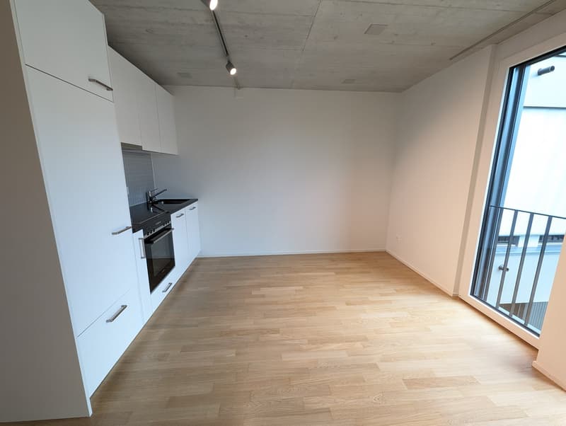 Moderne 1-ZWG (1H) an der St. Jakob-Str. 110 in Muttenz (3)