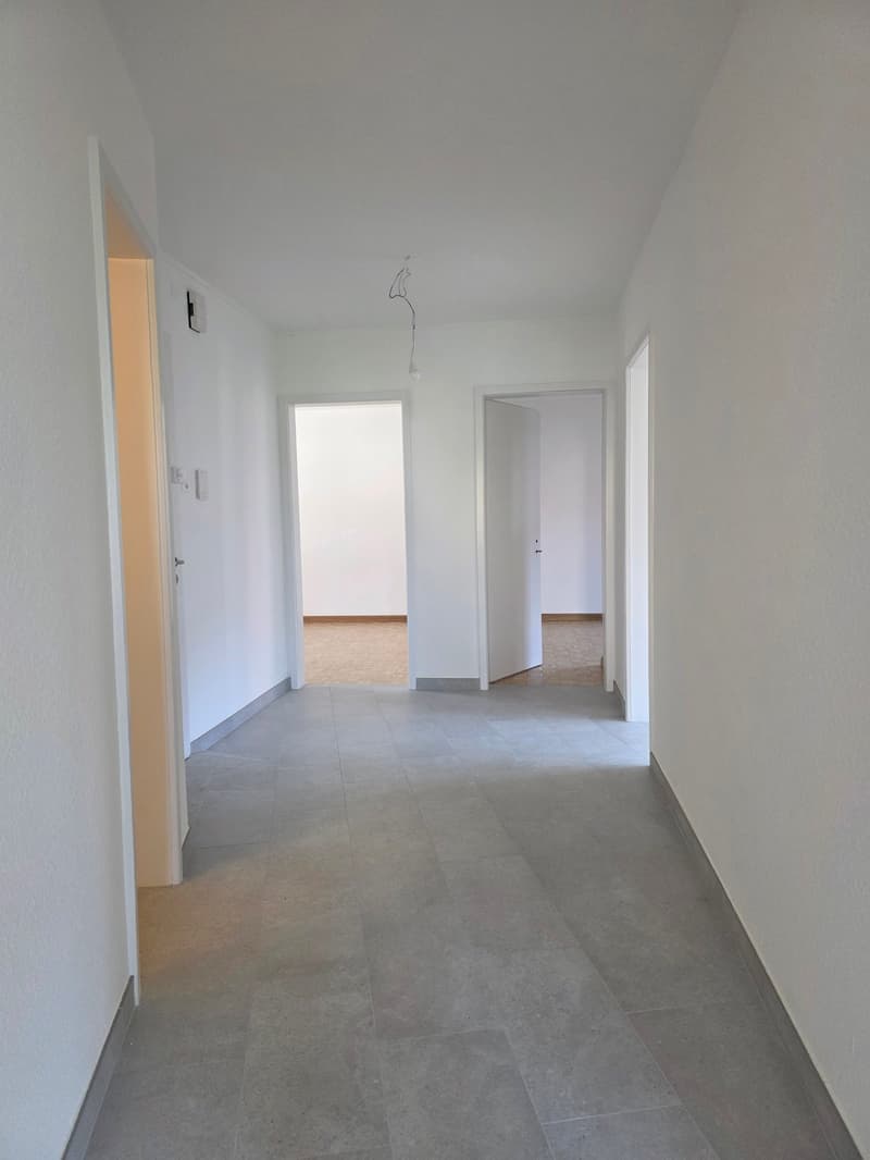 Helle 4-Zi'-Wohnung Nähe Kannenfeldpark und Westfeld-Quartier (10)