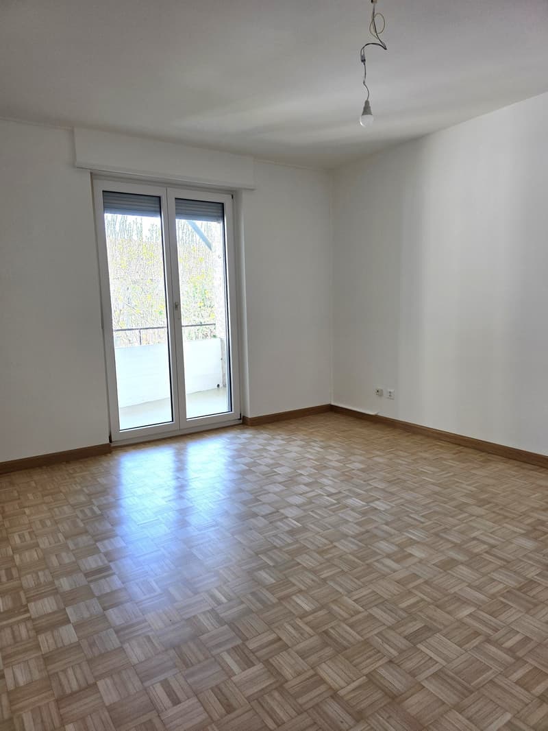 Helle 4-Zi'-Wohnung Nähe Kannenfeldpark und Westfeld-Quartier (11)
