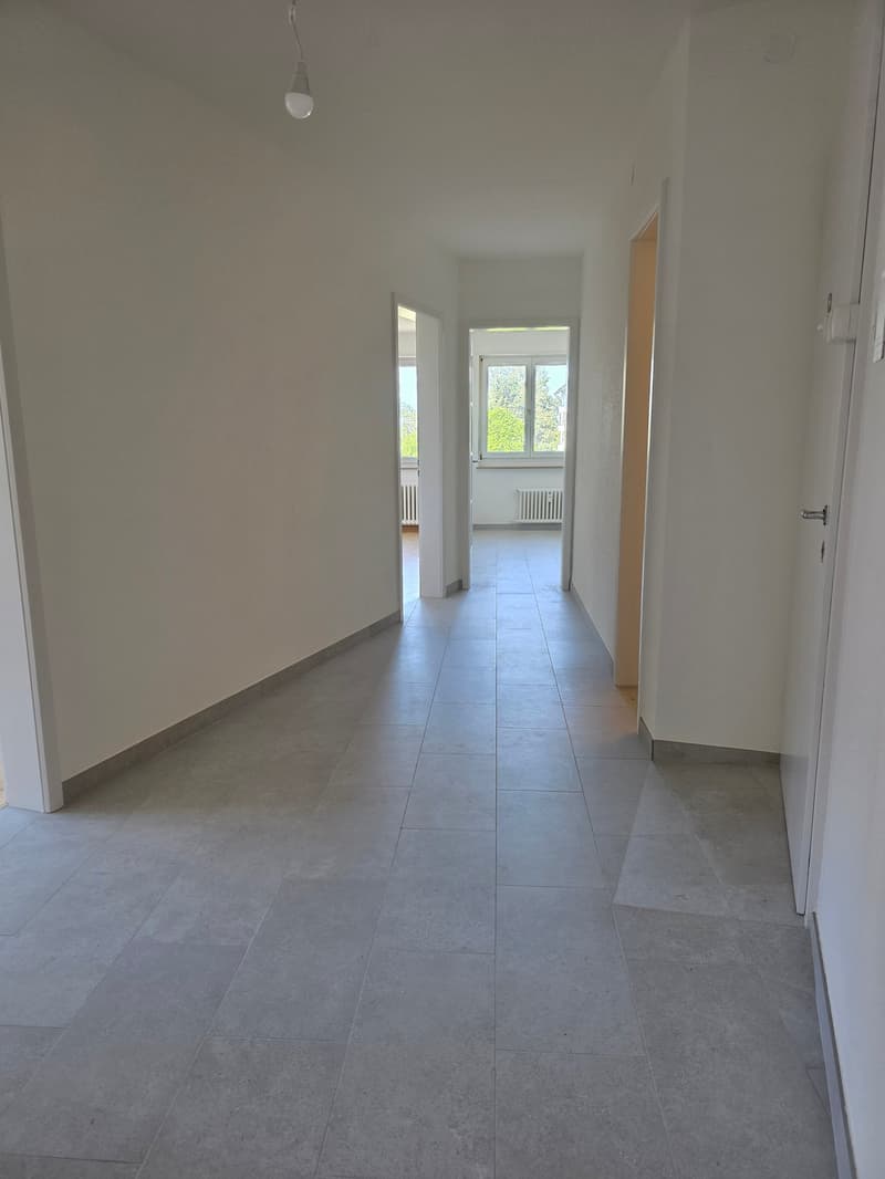 Helle 4-Zi'-Wohnung Nähe Kannenfeldpark und Westfeld-Quartier (5)