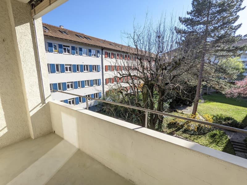 Helle 4-Zi'-Wohnung Nähe Kannenfeldpark und Westfeld-Quartier (13)