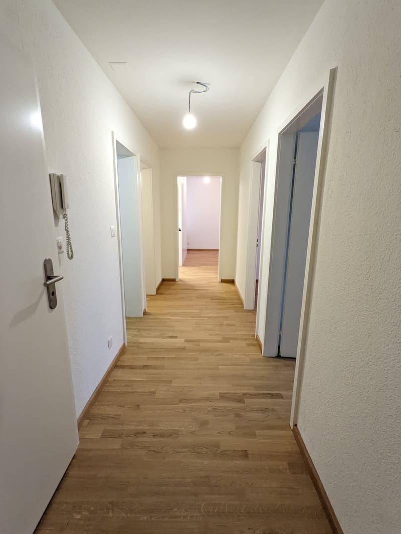Teilsanierte 4-Zimmerwohnung in Arlesheim (6)
