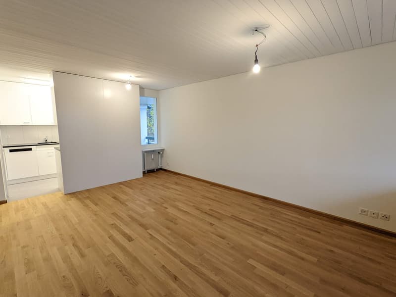 Teilsanierte 4-Zimmerwohnung in Arlesheim (2)