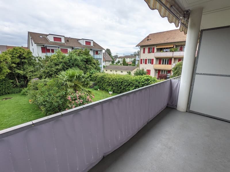 Hübsche 3-ZWG mit Cheminée an der Neuen Bahnhofstr. in Muttenz (12)