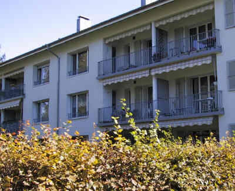 Hübsche 3-ZWG mit Cheminée an der Neuen Bahnhofstr. in Muttenz (2)