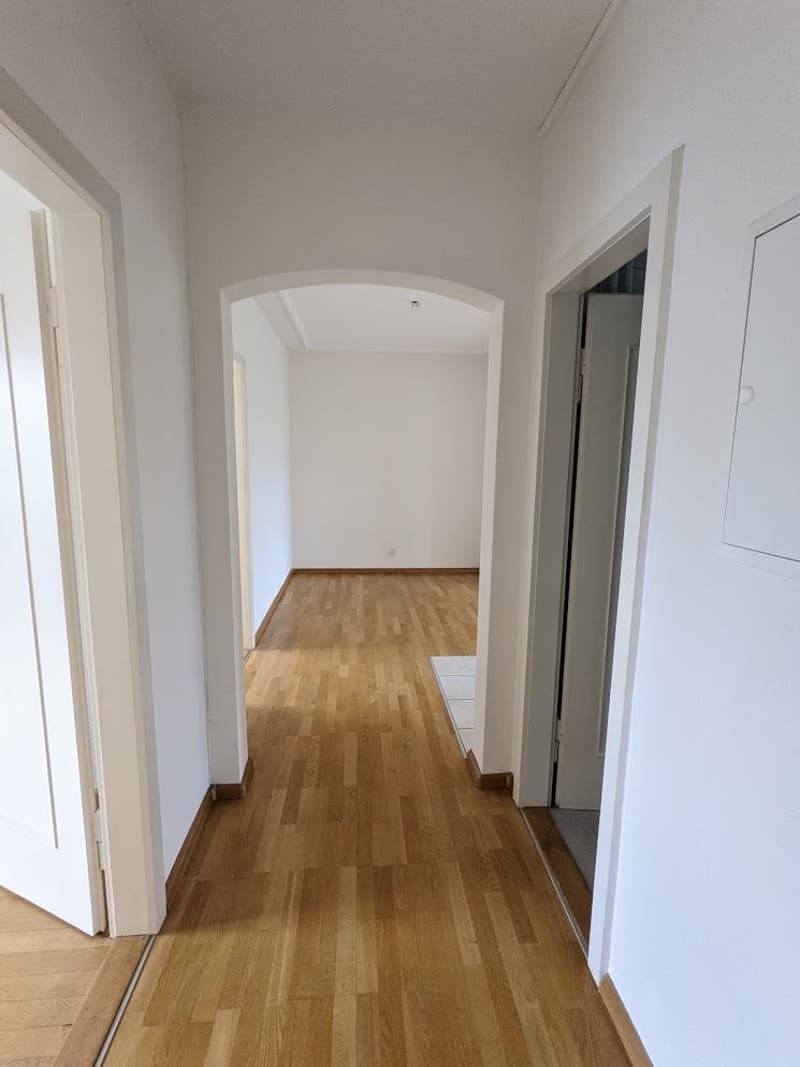 Hübsche 3-ZWG mit Cheminée an der Neuen Bahnhofstr. in Muttenz (11)