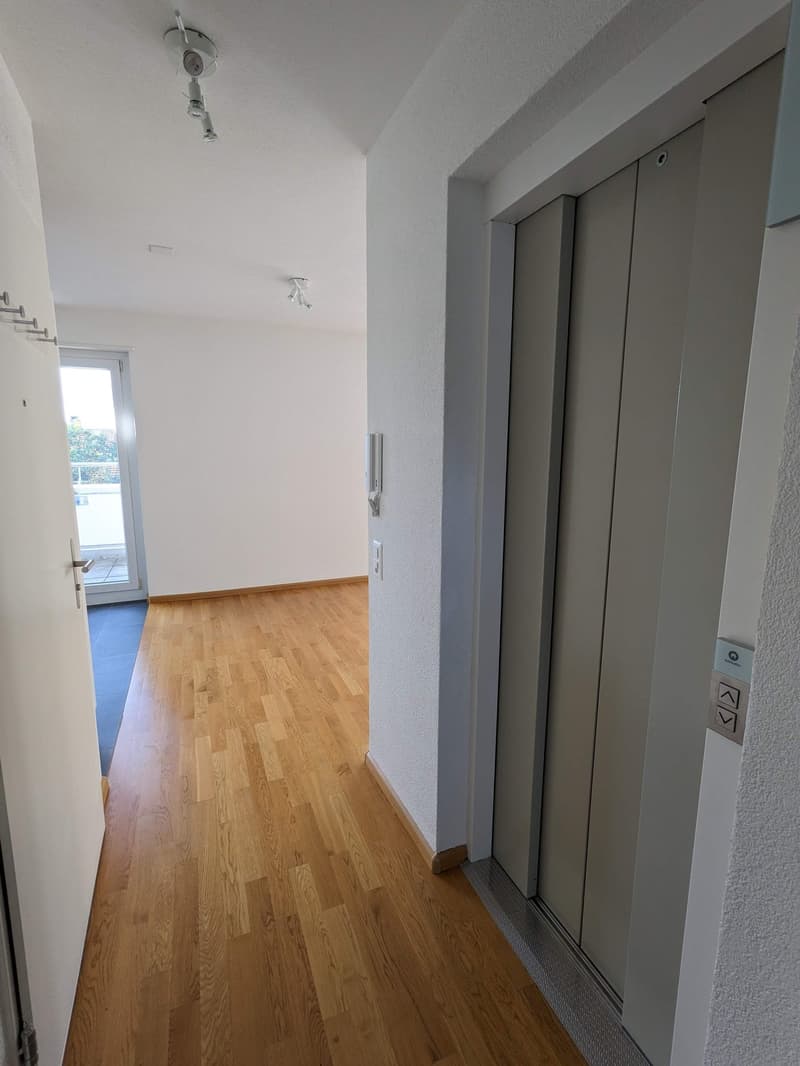 Wohnen über den Dächern von Basel, nähe Kannefeldpark (10)