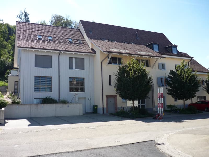 Grosse 3,5-Zi'-Mais.-Whg mit Terrasse, Lift + eigenem Waschturm in historischem Altbau (1)