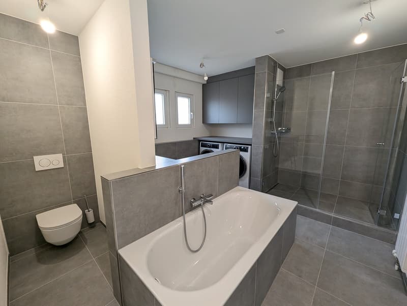 Exklusive 4.5-Zimmer-Attikawohnung mit 2 Terrassen im St. Johann (5)