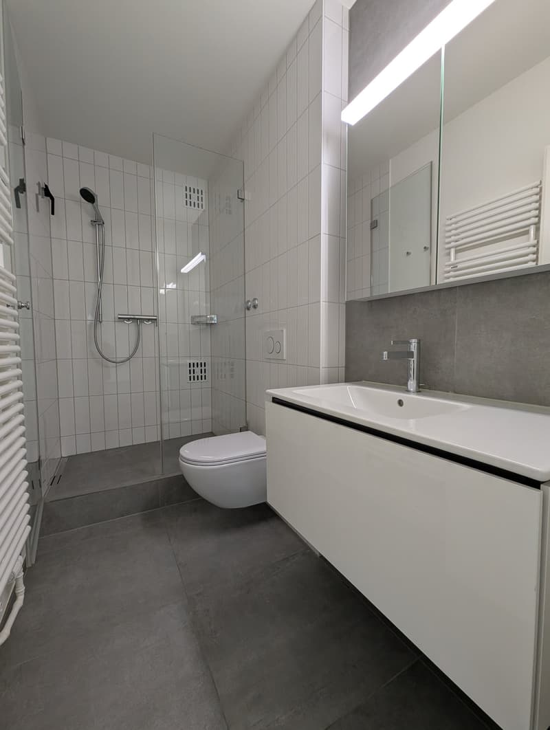 Exklusive 4.5-Zimmer-Attikawohnung mit 2 Terrassen im St. Johann (7)