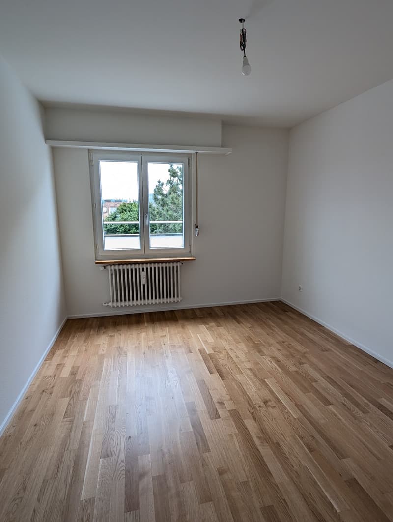 Exklusive 4.5-Zimmer-Attikawohnung mit 2 Terrassen im St. Johann (13)