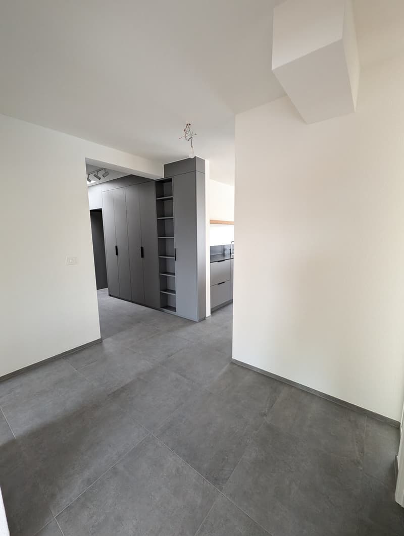 Exklusive 4.5-Zimmer-Attikawohnung mit 2 Terrassen im St. Johann (16)