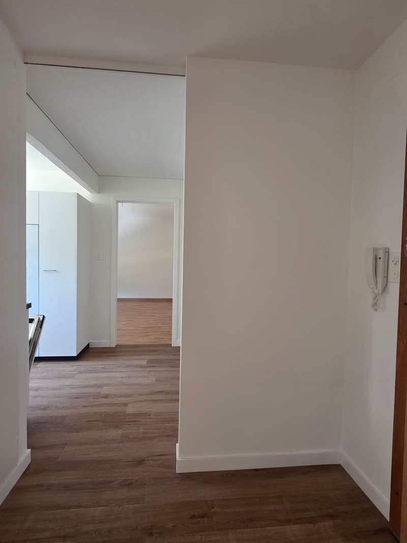 Renovierte 2,5-ZWG an ruhiger Wohnlage im Grünen (11)