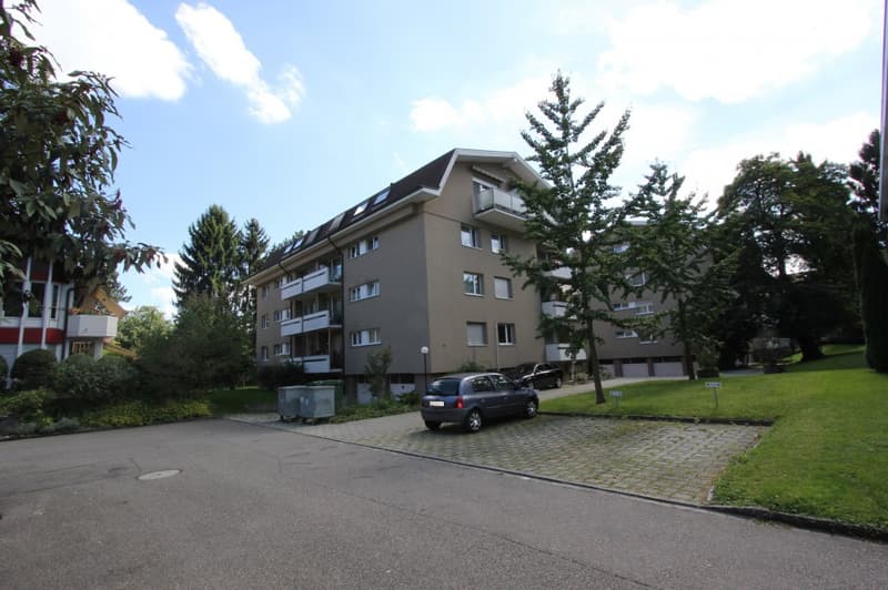 Renovierte 2,5-ZWG an ruhiger Wohnlage im Grünen (2)