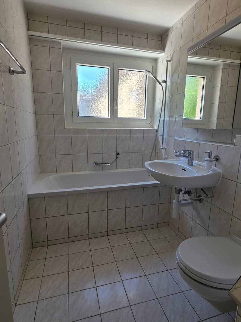 Renovierte 2,5-ZWG an ruhiger Wohnlage im Grünen (12)