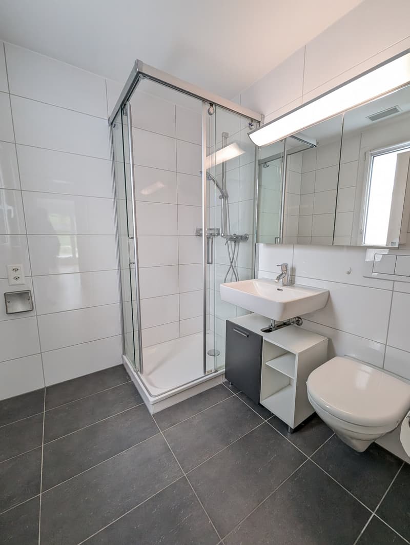 Modernes 5.5-Zimmer-Einfamilienhaus mit Minergie-Standard in Arisdorf (8)