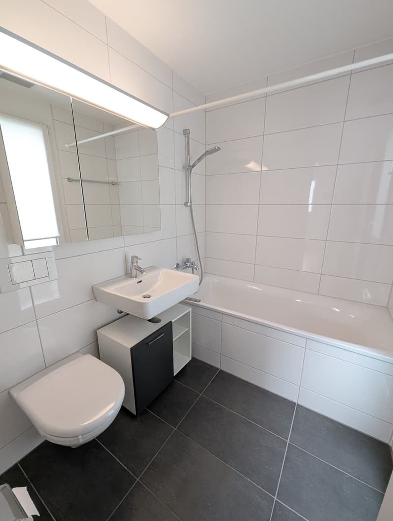 Modernes 5.5-Zimmer-Einfamilienhaus mit Minergie-Standard in Arisdorf (10)