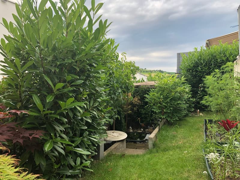 Modernes 5.5-Zimmer-Einfamilienhaus mit Minergie-Standard in Arisdorf (13)