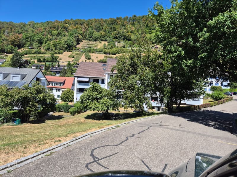Helle 3.5-Zimmer-Wohnung mit Balkon (2.OG ohne Lift) in Oberdorf BL (10)