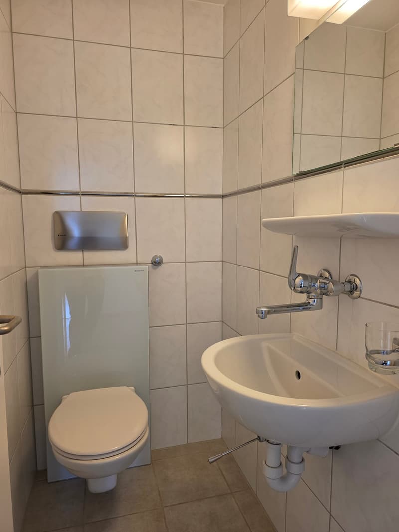Hübsche, helle 4-Zimmer-Whg mit toller Aussicht (6.OG mit Lift) in Arlesheim (7)