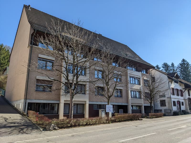 Sanierte 3.5-Zimmerwohnung mit Gartensitzplatz im alten Dorfkern (1)