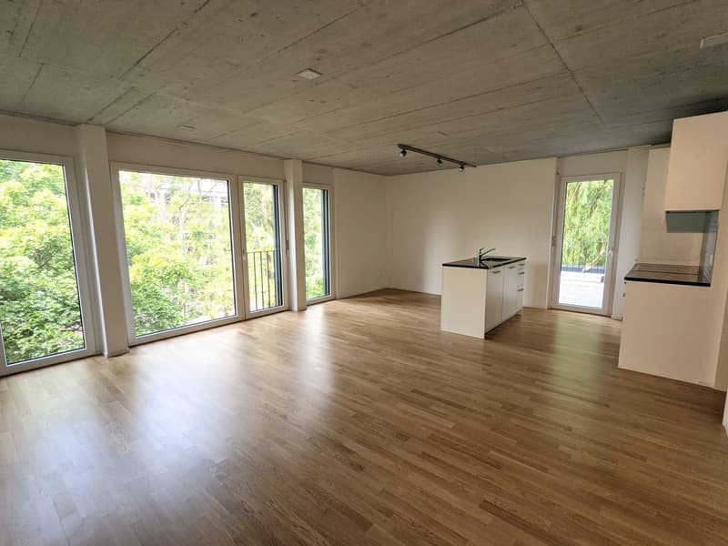 Top moderne 3,5-ZWG mit Waschturm, Terrasse (11m²) an der St. Jakob-Str. 110, Muttenz (3)