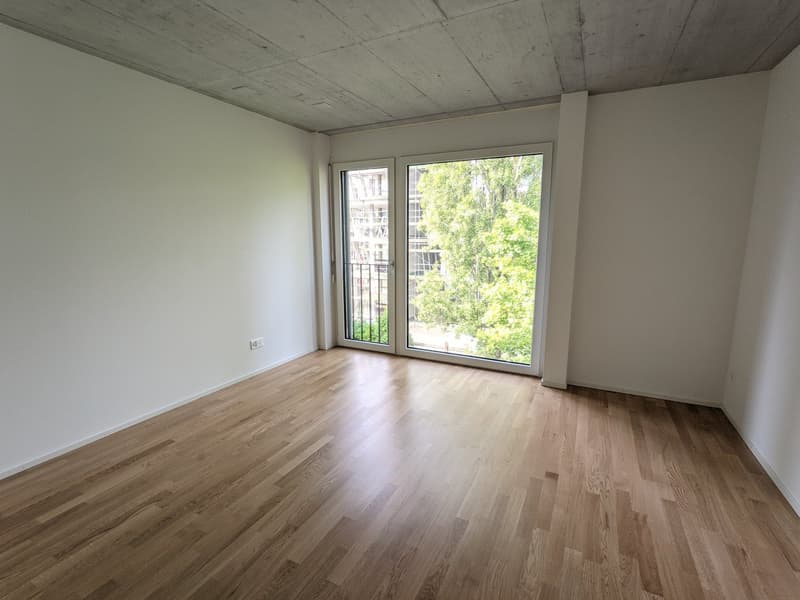 Top moderne 3,5-ZWG mit Waschturm, Terrasse (11m²) an der St. Jakob-Str. 110, Muttenz (7)