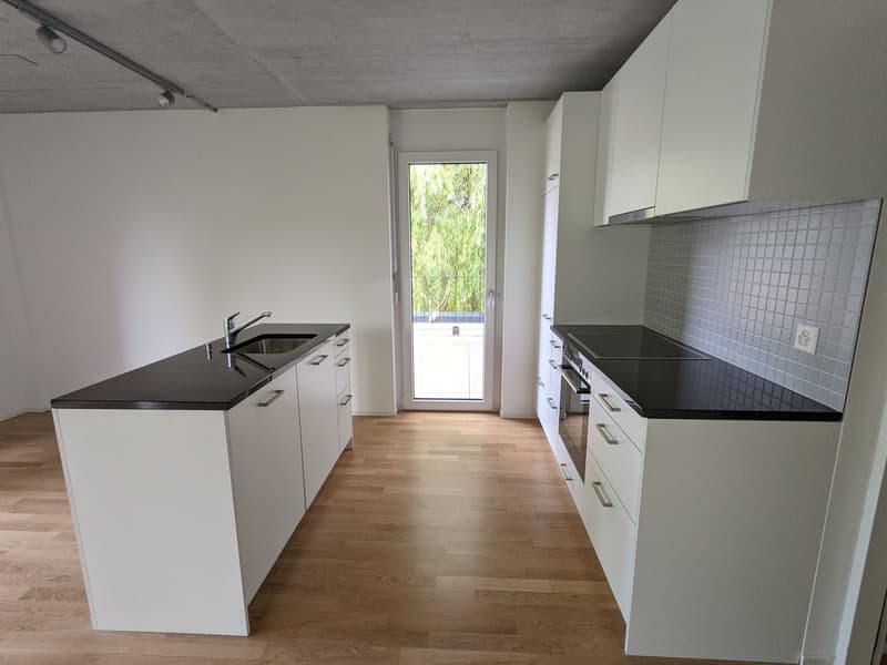 Top moderne 3,5-ZWG mit Waschturm, Terrasse (11m²) an der St. Jakob-Str. 110, Muttenz (2)
