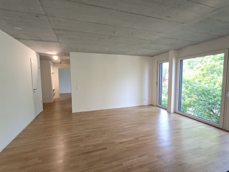 Top moderne 3,5-ZWG mit Waschturm, Terrasse (11m²) an der St. Jakob-Str. 110, Muttenz (8)