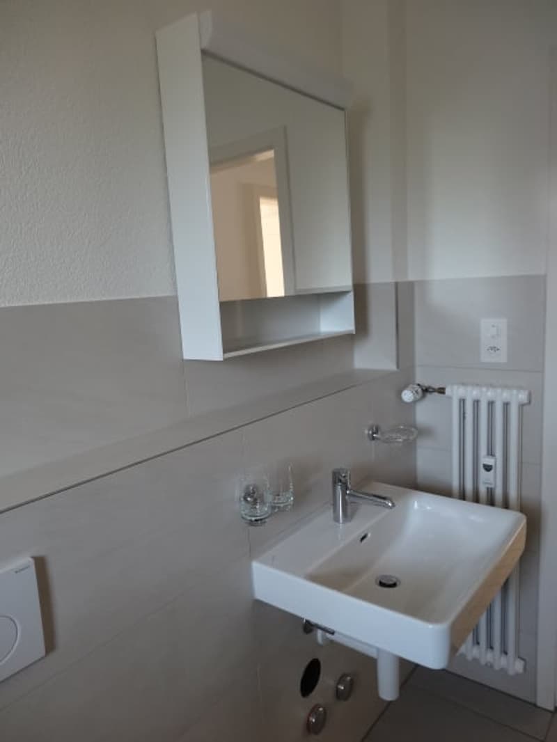 Helle 3,5-Zi'Wohnung mit Charme an zentraler sowie ruhiger Lage (6)