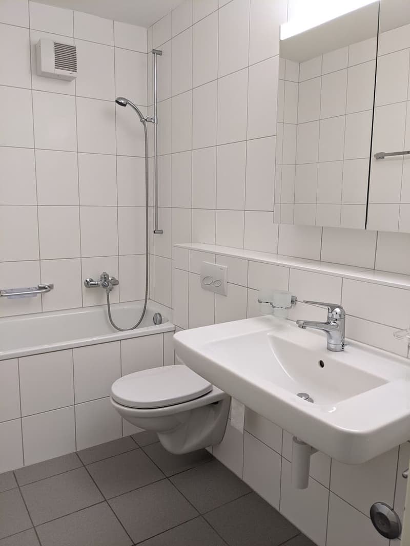 Schöne, ruhige 2-Z'Wohnung in Therwil (9)